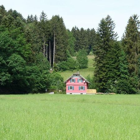 Erwins Ferien-Paradies Hörbranz Extérieur photo
